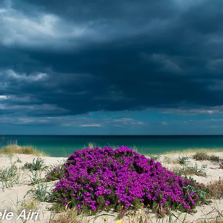 Villetta Turagri Casa vacanze Costa Rei